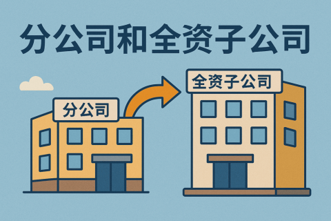 香港可以注冊分公司和全資子公司嗎？注冊條件與操作指南全解析