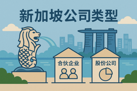新加坡公司類型對(duì)比：Pte Ltd、Branch、Subsidiary 如何選擇最適合的架構(gòu)？